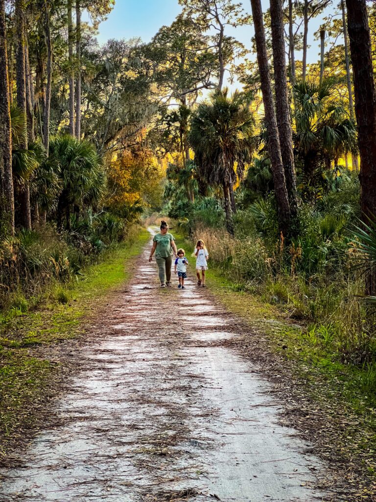 How to Completely Change your life in 6 months. Family out for a walk together with palm trees surrounding them and a dirt path in front of them