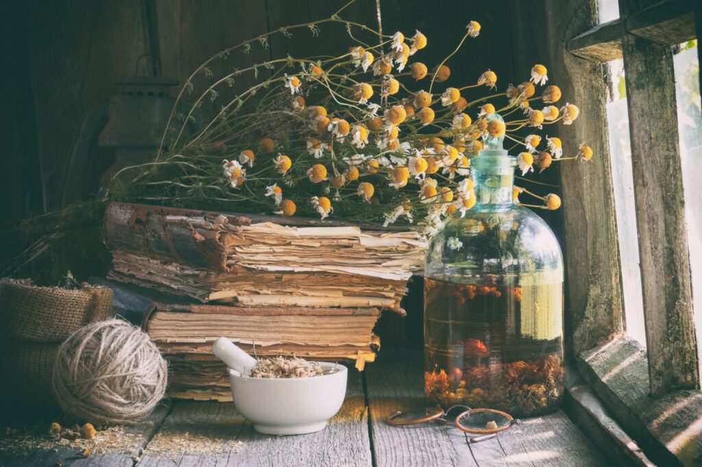 chamomile flowers, dried flowers, tea infusions, natural remedies, brewing tea